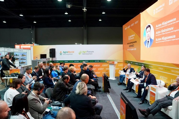 Business programme
